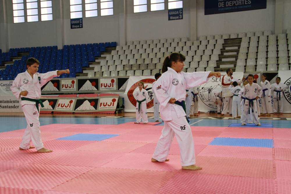 Taekwondo Dic 2016 (128).jpg